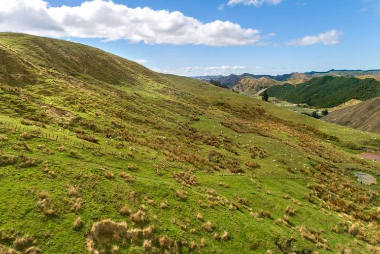 3643 Wharekopae Road Rere_22