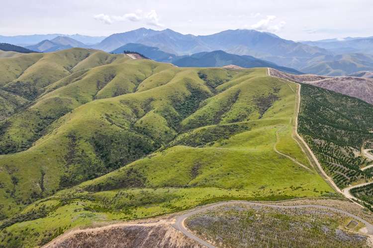 Mcintosh Road Geraldine_2