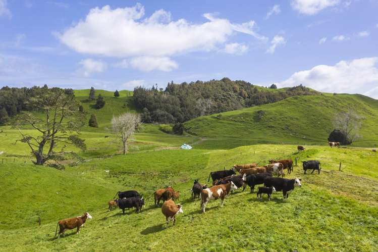 2140 State Highway 4 Aria_15