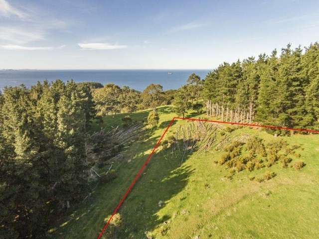 425l Boat Harbour Road Whenuakite_3