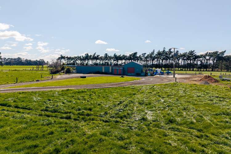 1040 Roberts Line Bunnythorpe_6