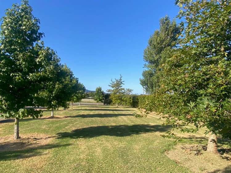 1166 Leigh Road Matakana_18