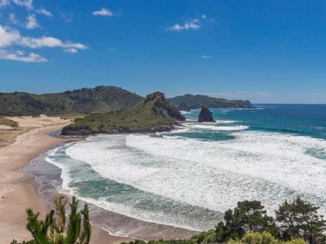 135 Aotea Road Great Barrier Island_2