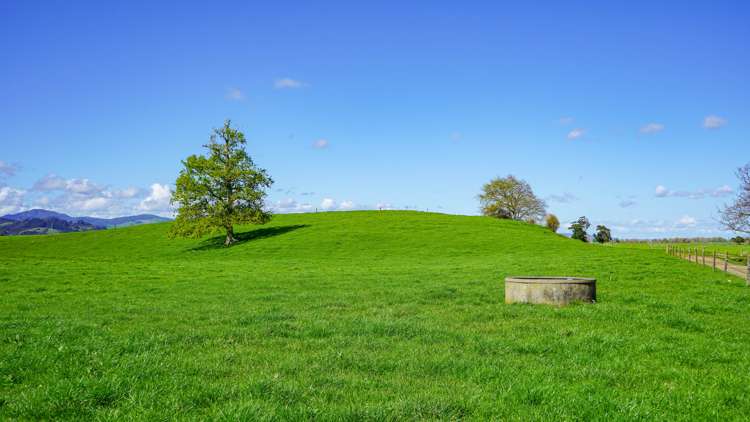 81 Station Road Puriri_18