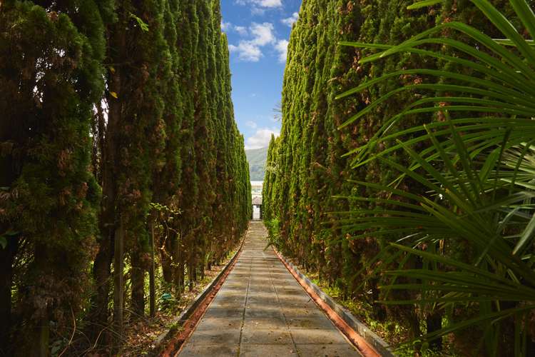 93a Main Road Havelock_5