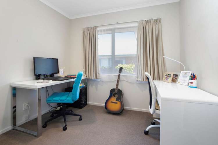 218b Campbell Road Greenlane_13