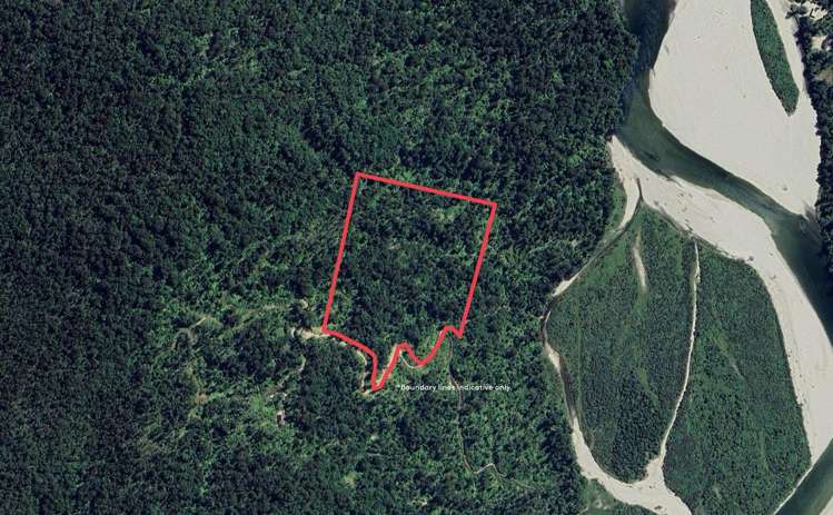 Lot 6 Paringa River Area Bruce Bay_11