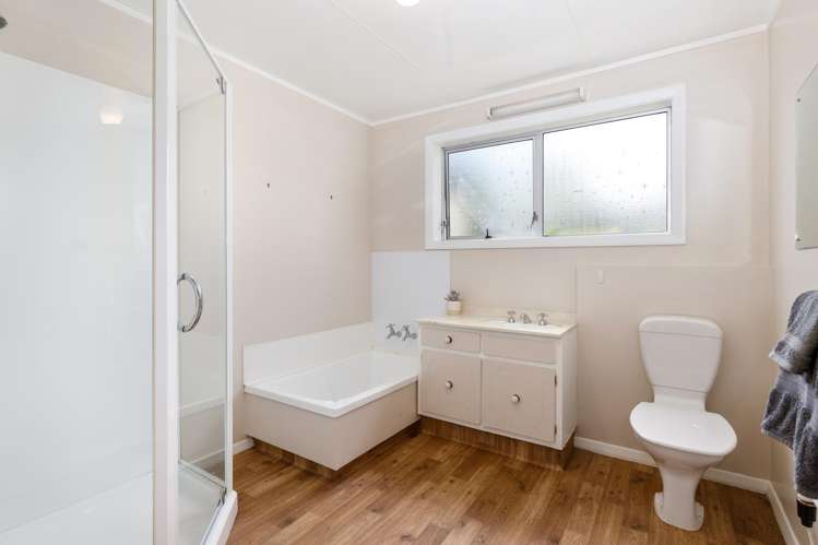 25 Brydon Street Renwick_6