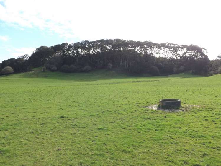 365 Tauhei Road Morrinsville_0