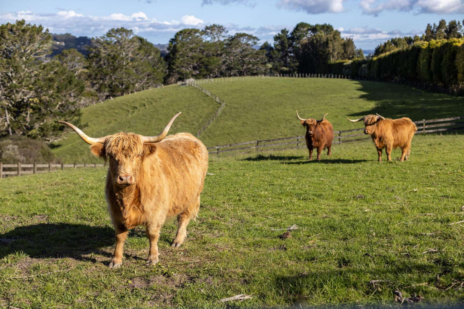 601 Ridge Road Coatesville_0