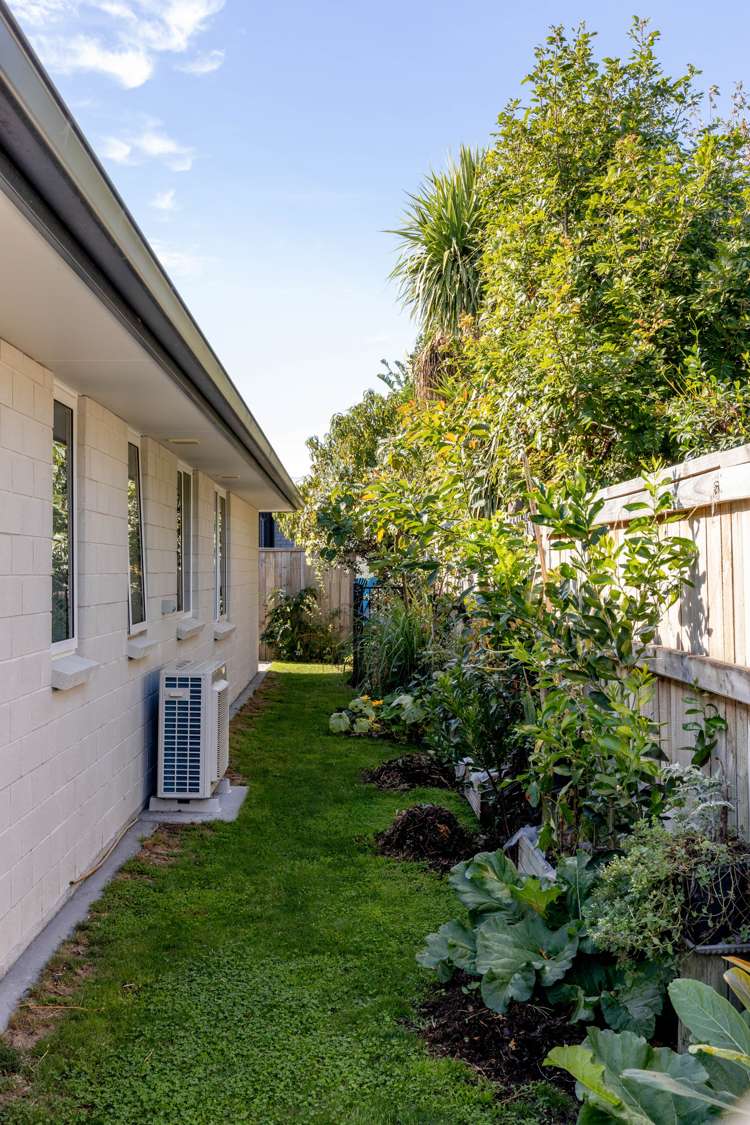 77 Bert Wall Drive Omokoroa_16