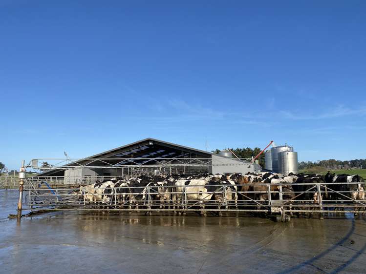 426 Argyle Otahuti Road Waianiwa_16