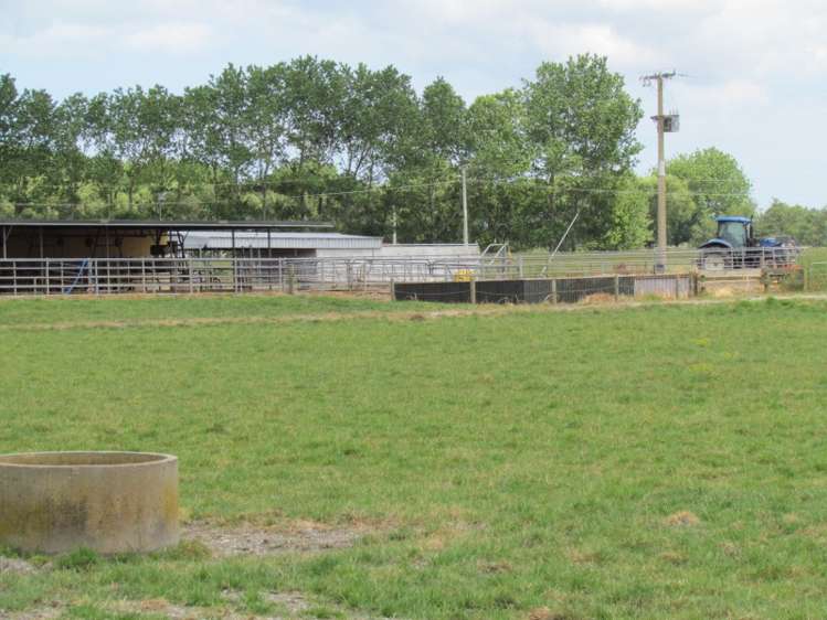 354 Access Road Ruawai_23