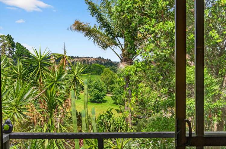 167 Wymer Road Glenbrook_11