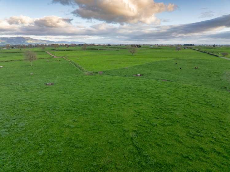 416 Wardville Road Matamata_27