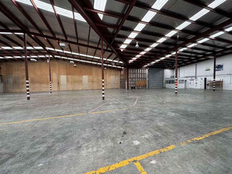 9/4-8 Glover Street Ngauranga_5