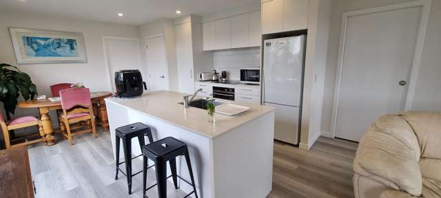 11A Carr Street Tuakau_1