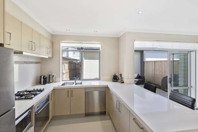 25 Sycamore Street Flat Bush_1