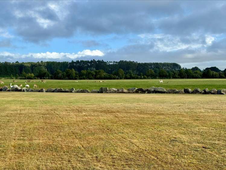 18 Meadowlinks Lane Pleasant Point_10