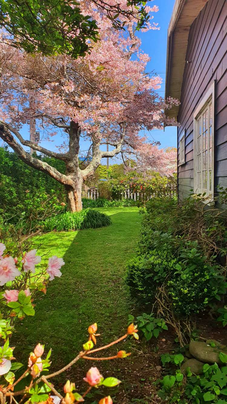 2 Hoyle Place New Plymouth Central_21