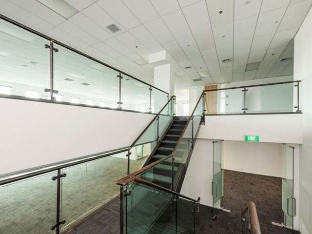 16 Normanby Road Mount Eden_4