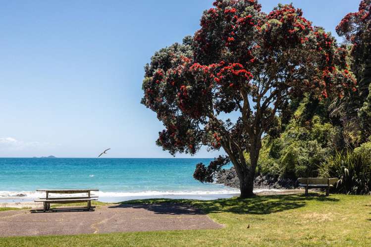 2 Te Toki Road Palm Beach_20