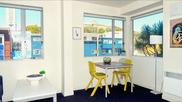 1F/242 Taranaki Street Mount Cook_3