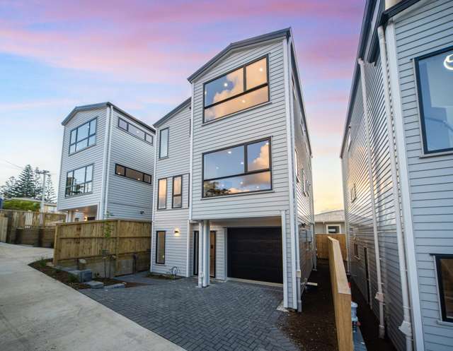 49c Webster Avenue Mount Roskill_1