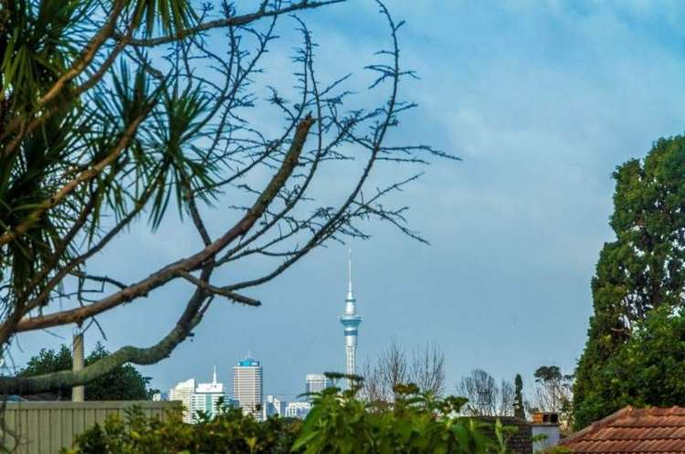 2/23 Burns Avenue Takapuna_12