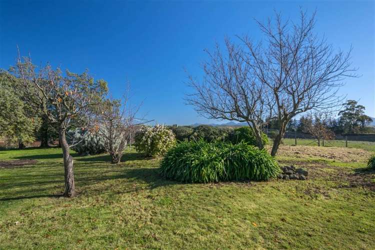 518 Brancott Road Fairhall_23