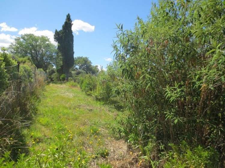 21 Domain Road Waipawa_7