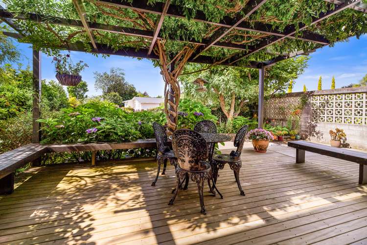 45 Springfield Road Springfield_23