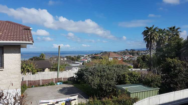 279b Hillsborough Road Hillsborough_5