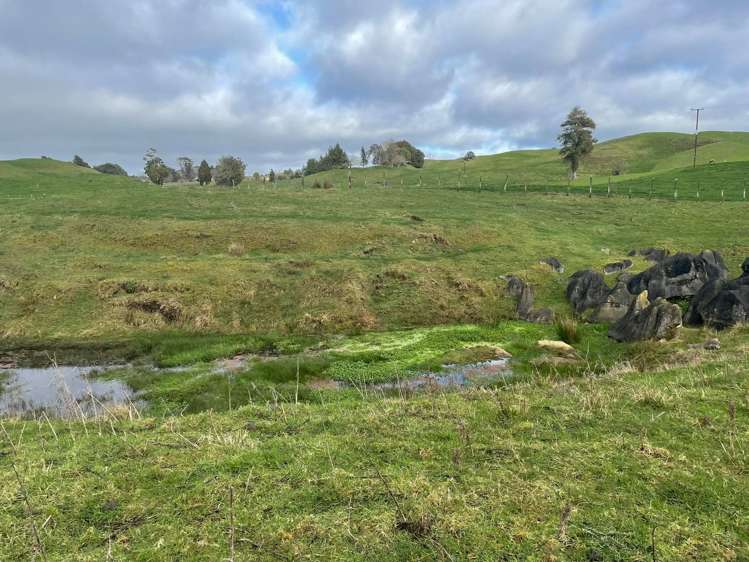 1107 Mairoa Road Piopio_13