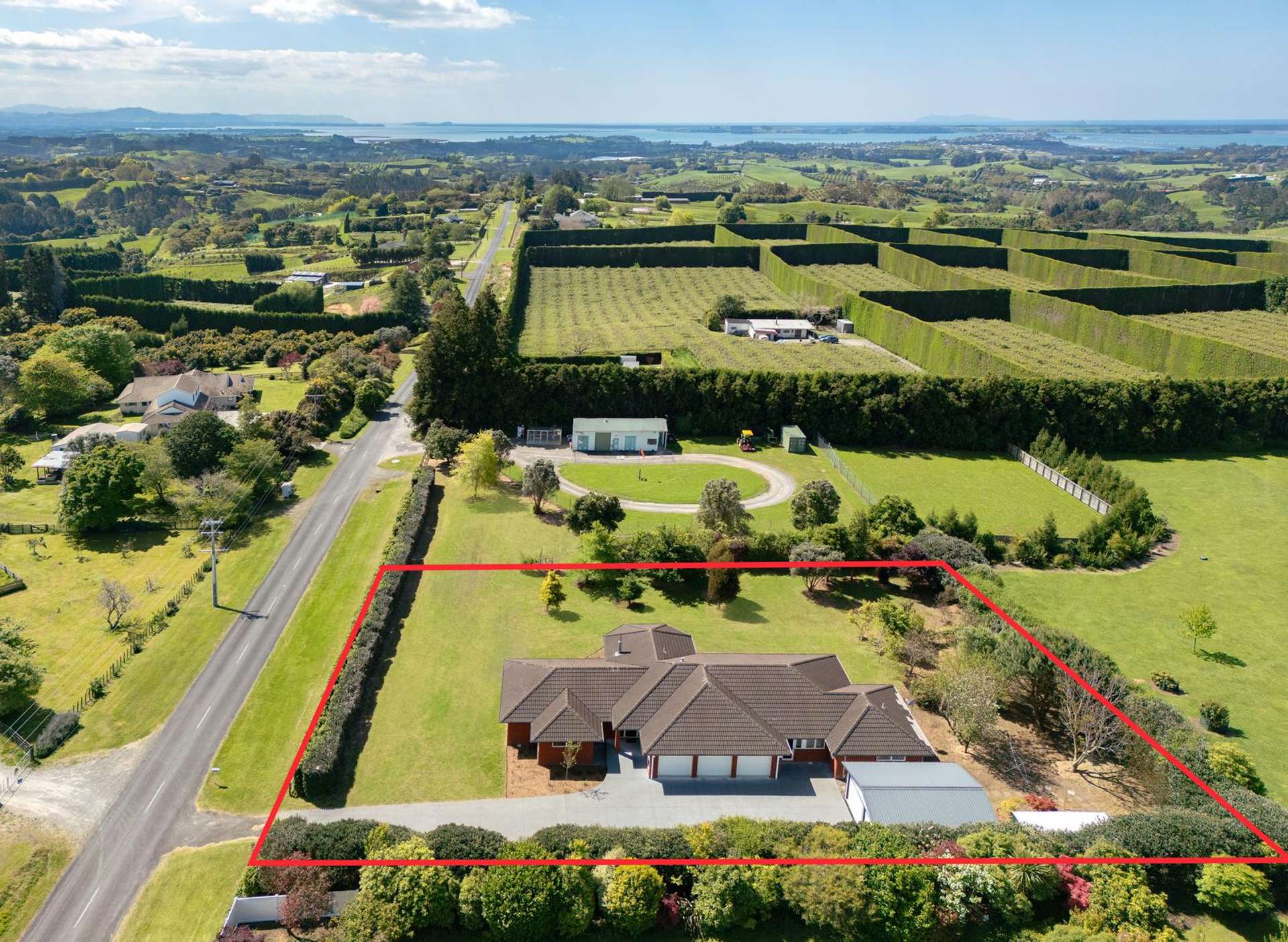 407 Youngson Road Whakamarama_0