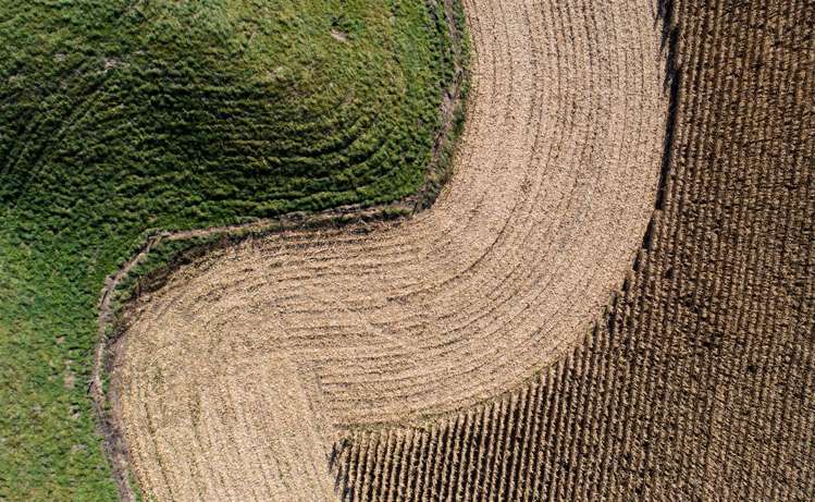 420a Kahutara Road Kahutara_14