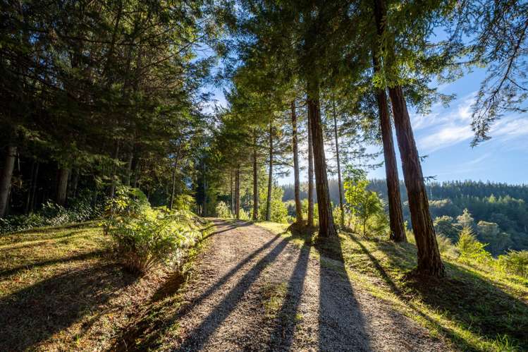 22 Herring Stream Road_0