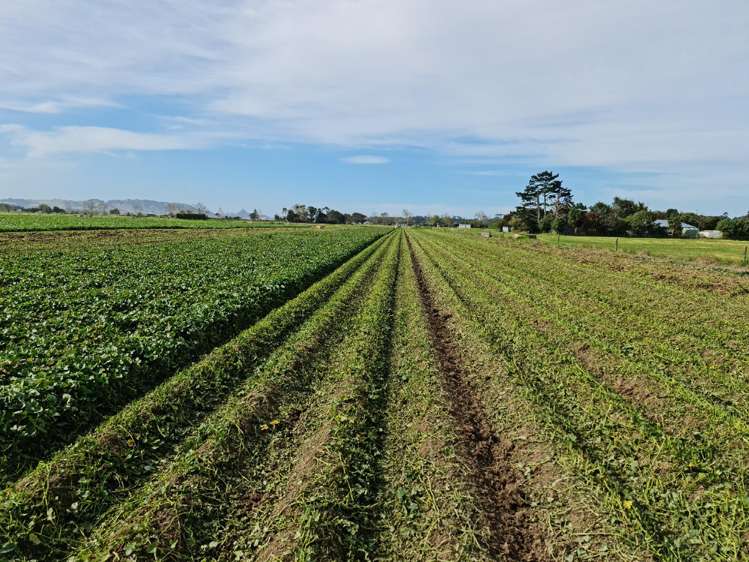 674 Pouto Road Dargaville_18