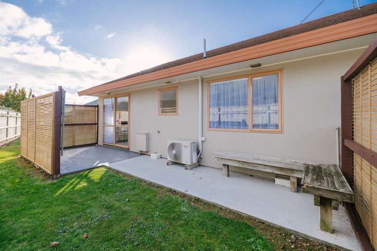 6 Foxtail Fern Kelvin Grove_16