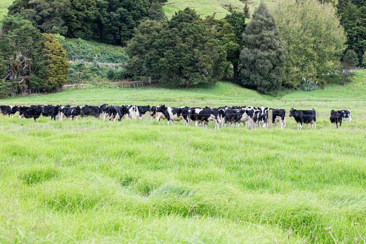30C Te Ranga Road Kaeo_23