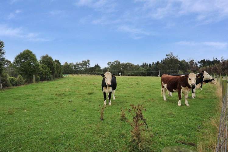 245 Beatties Road Ashley_16