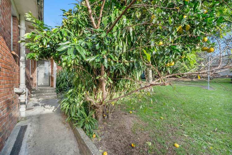 28 Marion Avenue Mt Roskill_13