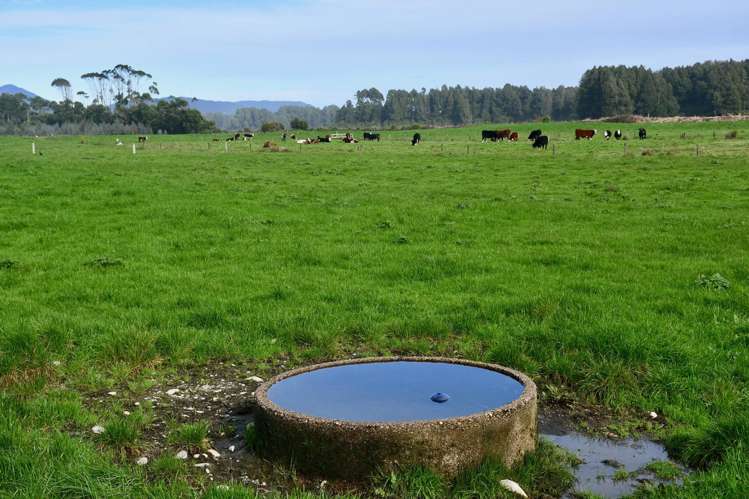106 Granite Creek Road Karamea_15