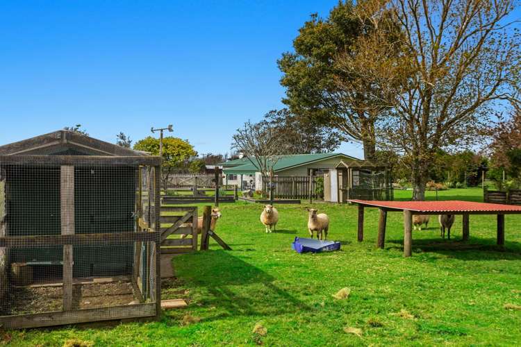 238b Hallett Road Otakiri_18