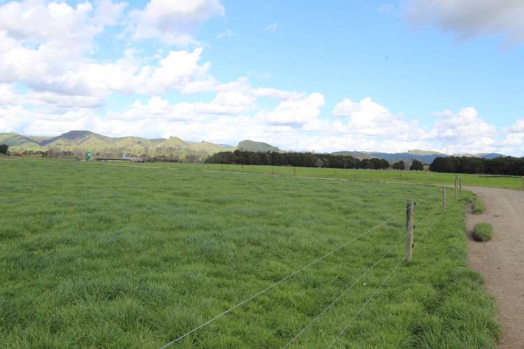 155 Bluff Road Pahiatua_8