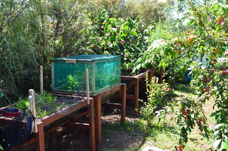 14 Charles Street Takapau_19