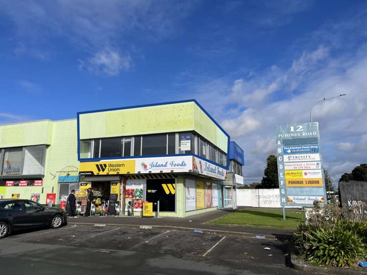 12H Puhinui Road City Centre_1