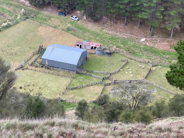 1247 Wharekopae Road Ngatapa_2