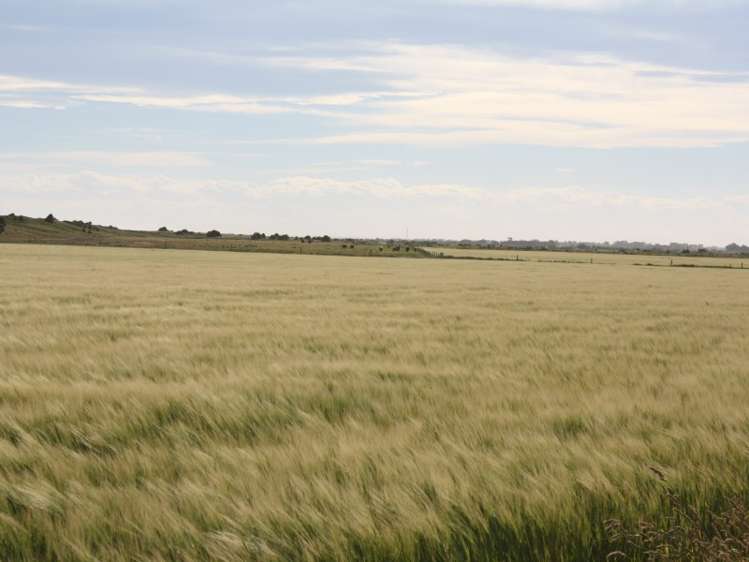 107 Gullivers Road Southbridge_17