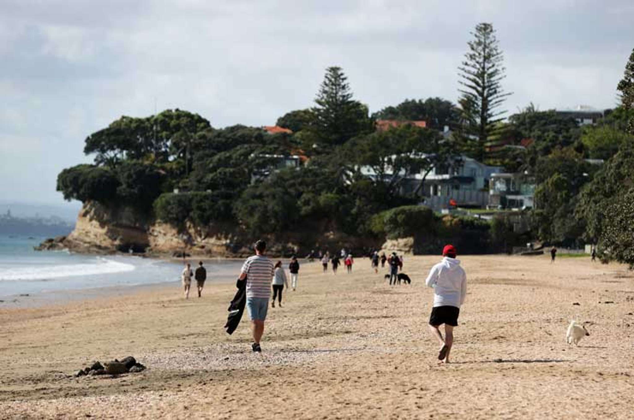 Takapuna - $1.3m houses in one street, $28m mansions in another